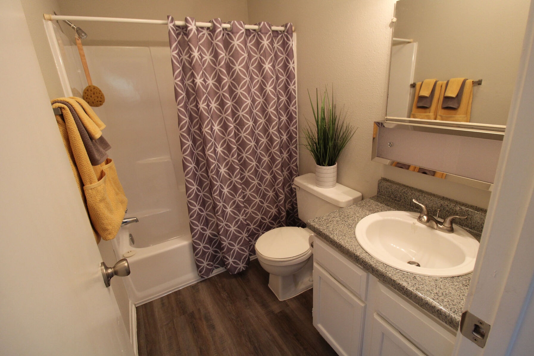 1 Bedroom apartment interior